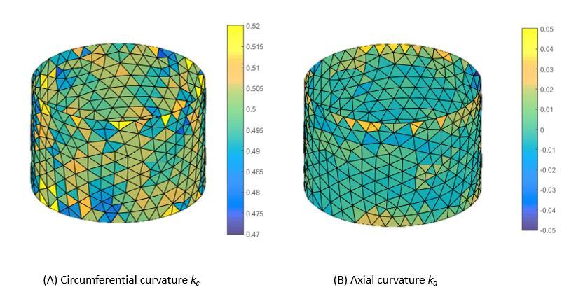 Figure 4.1: Comparison of circumferential and axial curvatures [mm -1 ] for a coarse cylindrical mesh. Cylindrical radius = 2 mm, cylindrical height = 4 mm, number of elements = 760.