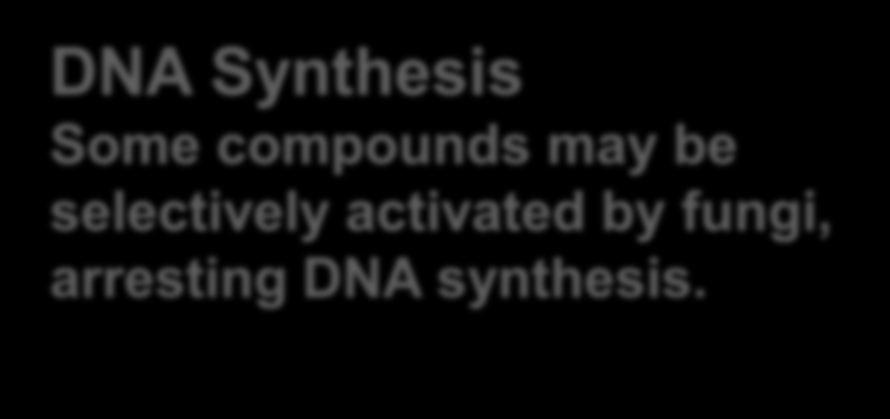 Synthesis Some compounds may be