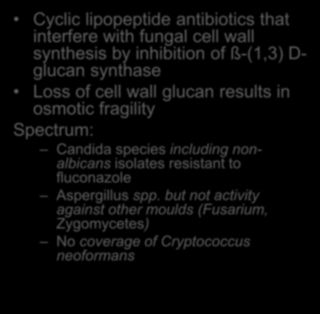 of cell wall glucan results in osmotic fragility Spectrum: H O H Candida species including nonalbicans isolates resistant to