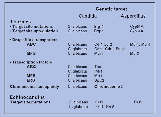 Summary of genetic mechanisms
