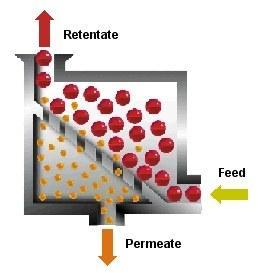 Methodology Membrane processing of buttermilk According to Morin et al (2006) Freshly prepared