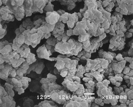 Bio Monoliths Monolithic supports are highly porous rigid polymers with: High porosity (over 6 %) Flow-through channels ( pores