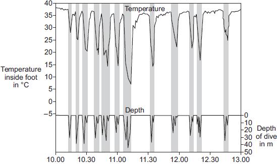 Graph 2 shows the relationship between the temperature inside a penguin s foot and diving. The shaded areas show when the penguin was diving.