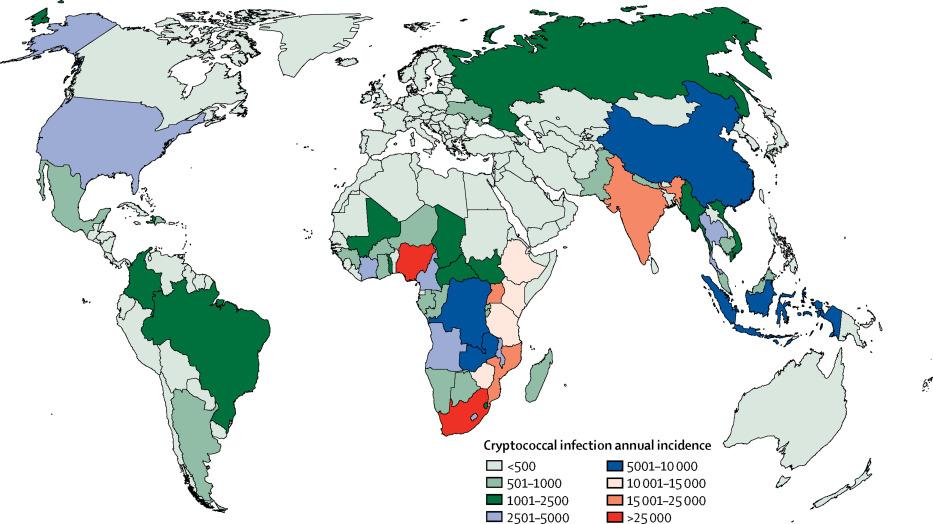 Annual incidence of cryptococcal infection: