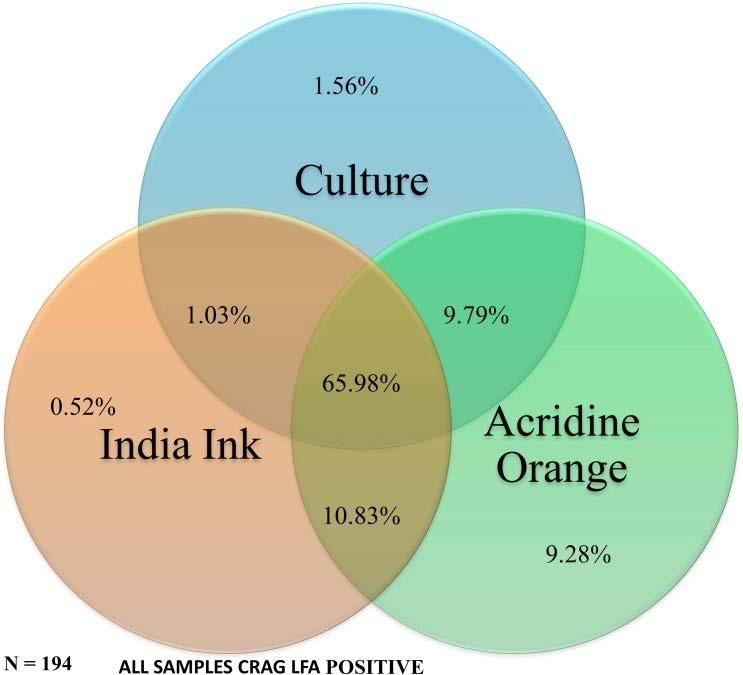Acridine orange vs India Ink for CM