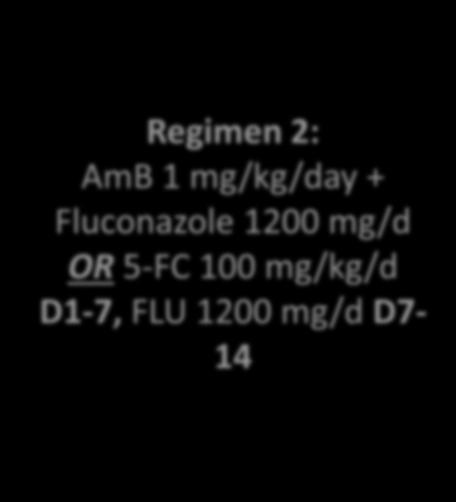 UP TREATMENT Fluconazole 800 mg/d until ART (D28