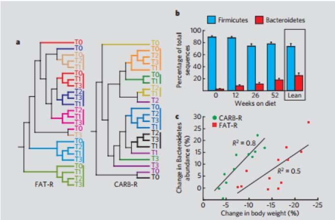 a, Clustering of 16S ribosomal RNA gene sequence libraries of faecal microbiota for each person (in different colours) and time point in diet therapy (T0, baseline; T1, 12 weeks; T2, 26 weeks; T3, 52