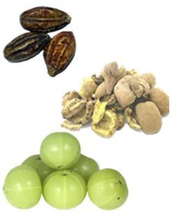 Triphala Aids constipation Improves peristalsis Helps improve and protect the intestinal wall lining during radiation treatments It