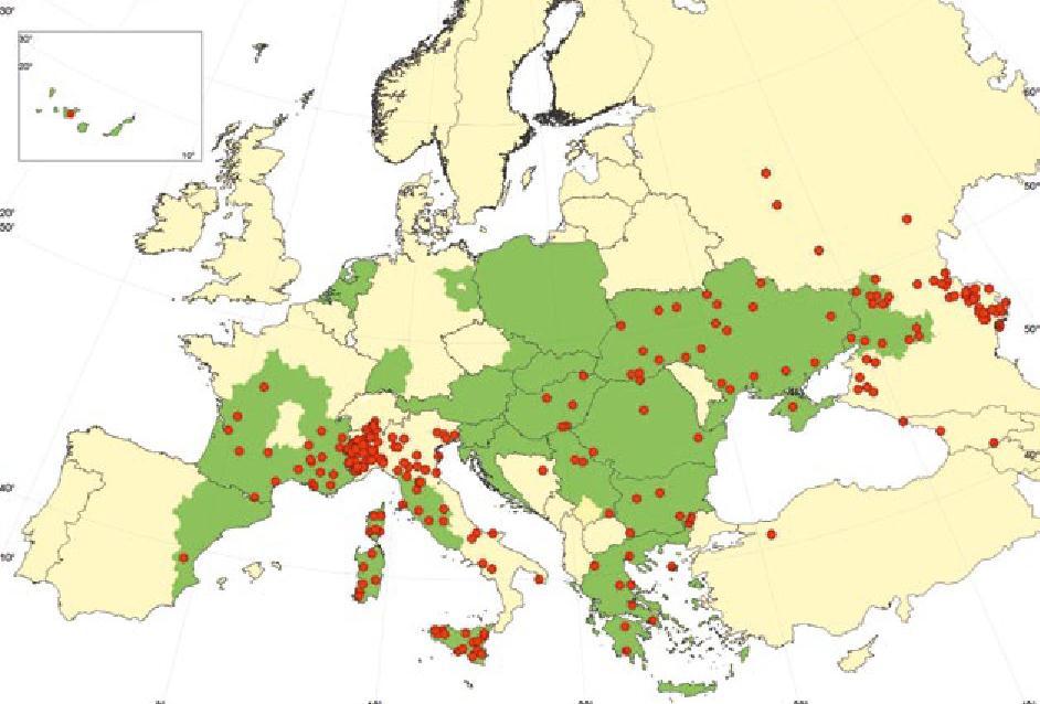 D. Repens in Europe: Pantchev et al (2011);