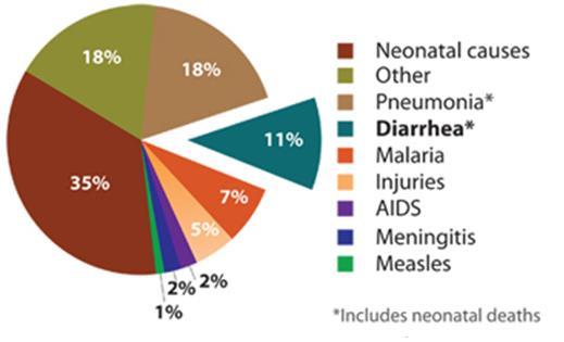 Burden of diarrheal diseases Diarrhea kills 2,195 children every day more than AIDS, malaria,