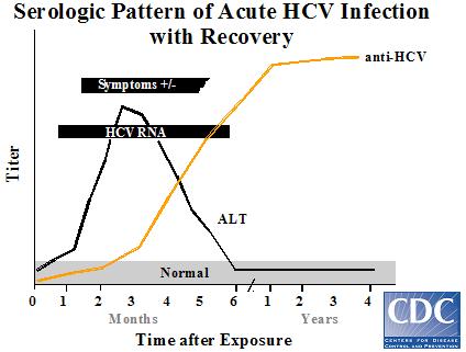 HCV markers in acute resolving infection