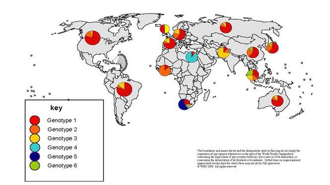 Global distribution of HCV genotypes Virology Source: Hepatitis C