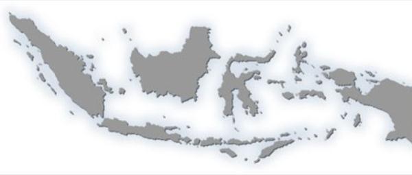 OSTEOPOROSIS IN INDONESIA Hana