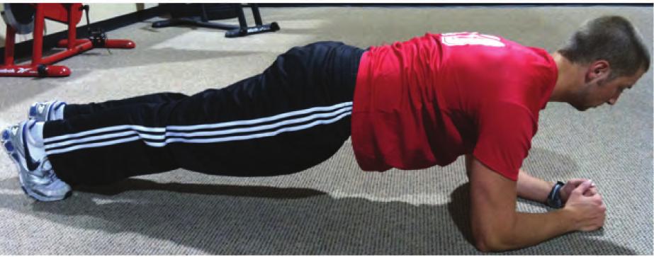 PLANK Hold the above position for the allotted time.