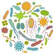 (e.g., CRISPR) Nanotechnology Quantum computing Artificial Intelligence Online consumer Smart everything PUBLISHED IN HEALTHLINE JAN 2019 Your gut microbiome is made up of trillions