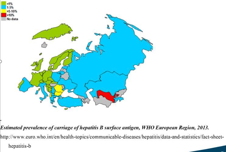 ENDEMICITY OF HEPATITIS B IN EUROPE (WHO EURO) - 2013 Chronic