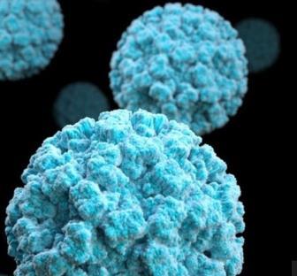 Norovirus 30% of people infected are asymptomatic People are most contagious: When sick with norovirus symptoms Up through the first few days after recovery Symptoms can be severe for young