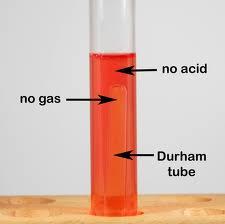 3 Tests Performed I. Presumptive Test PRLB Tube-Phenol Red Lactose Broth with a Durham Tube 3 Reactions: *1.