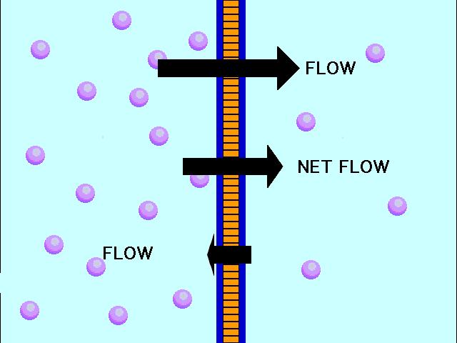Transport Processes Passive processes: do not use ATP energy Energy for transport provided by constant random molecular mo7on (due to