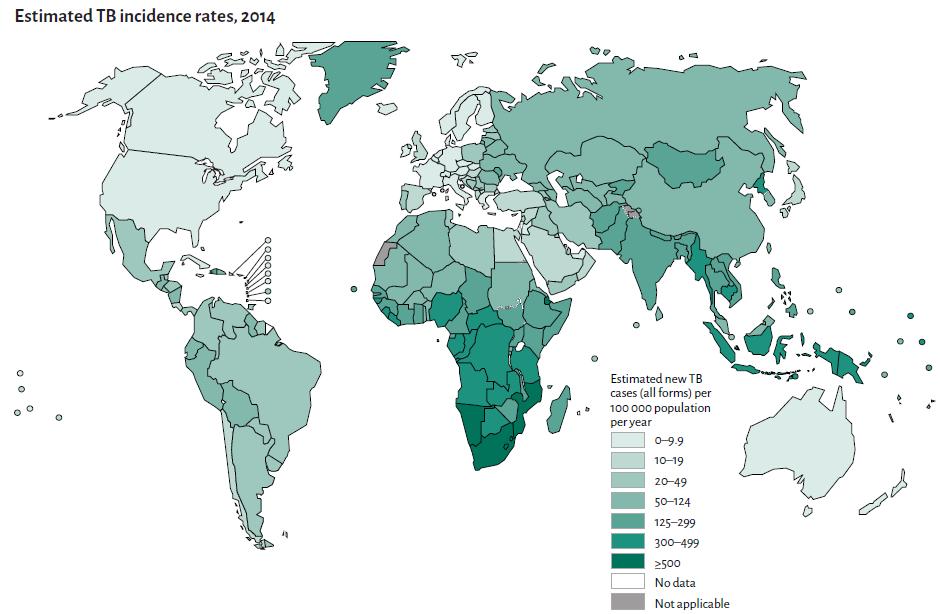 Estimated TB incidence rates