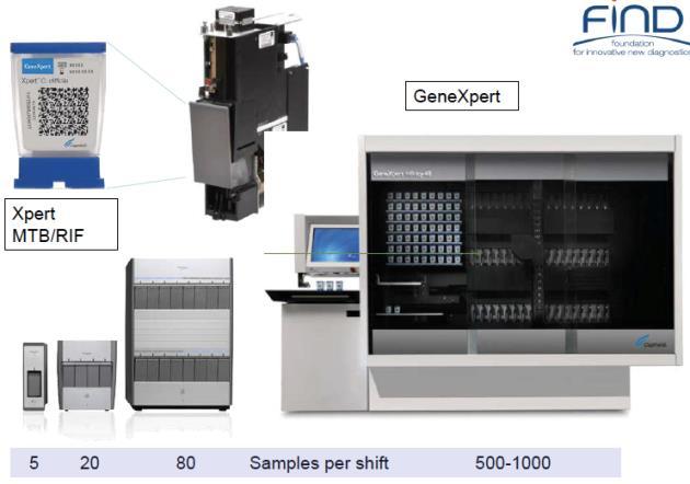 GeneXpert MTB/RIF GXP PCR-based diagnosis of both M.tuberculosis complex as well as RIF resistance.