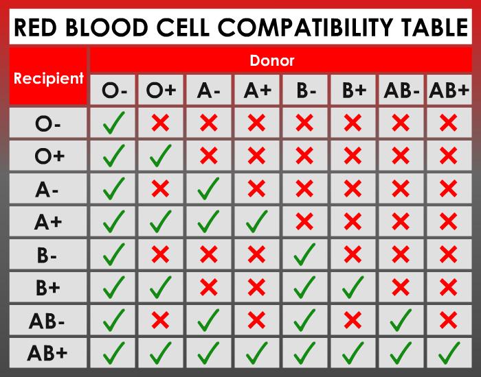 Blood Types Substances A+ A B+ B AB+ AB O+ O Blood