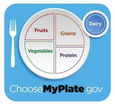 Page 2 Healthy Futures Newsletter My Plate corner First up DAIRY People have been consuming milk and dairy foods for thousands of years.