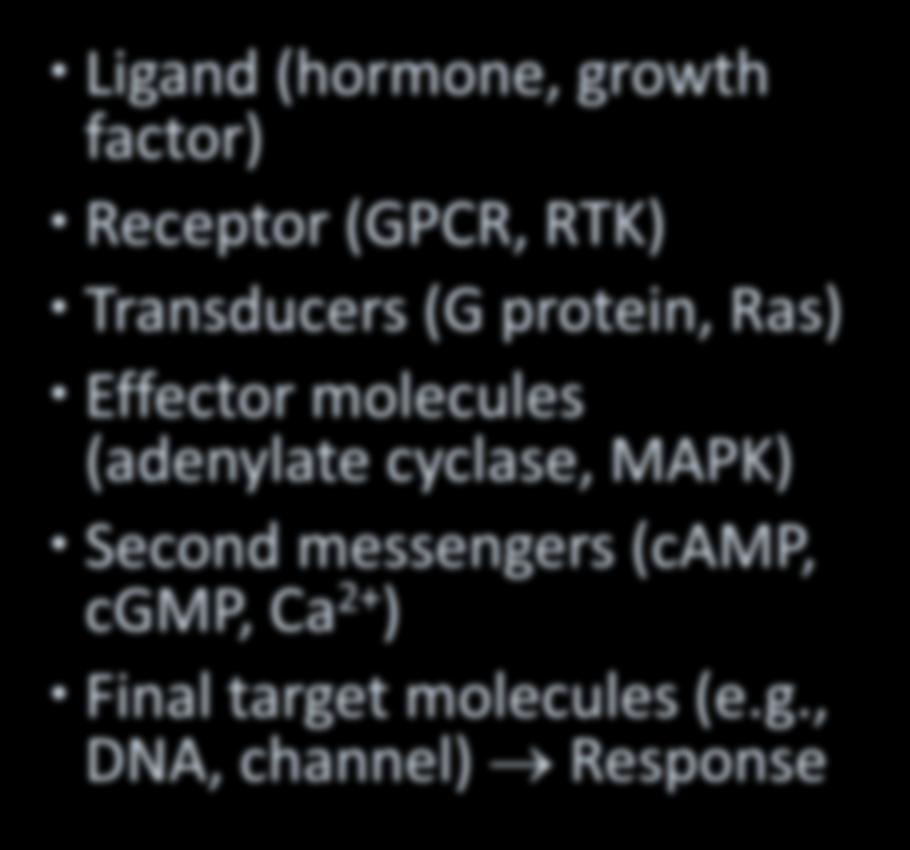 Receptor (GPCR, RTK) Transducers (G protein,