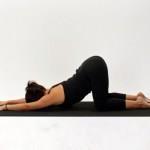 Extended Puppy Pose(Uttana Shishosana) Stretches and relaxes arms and