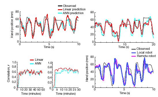 Prediction from cortical signals Uses linear and