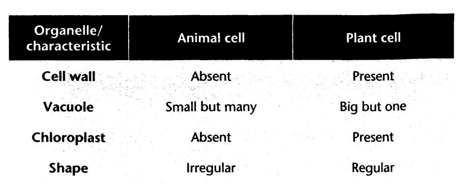 Revision 1 Q1. Which of the following statements is true? A. A cell is the basic unit for animals only. B. A multicellular organism has more than one cell in its body. C.