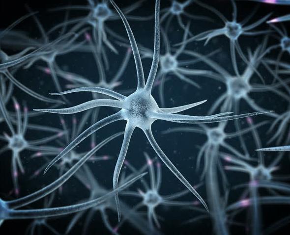 Contact us- Amy Jones Program Manager Neuroscience Congress 2019 47 Churchfield Road, London, UK, W3 6AY Email: neurosciencecongress@neurologyspeakerexperts.org Twitter: https://twitter.