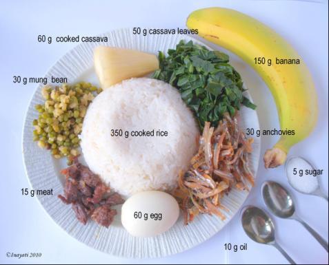 powder Recommended dietary intake/day based on locally available food in Nias Island, Indonesia 1 Recommended energy, protein,