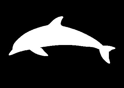 Name: Date: DOLPHIN OR SHARK?
