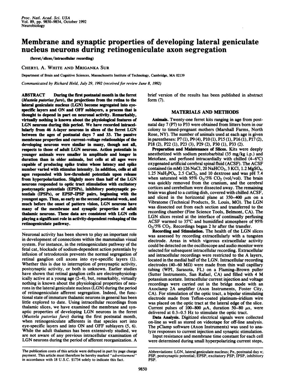 Proc Natd Acad Sci USA Vol 89, pp 985-9854, October 1992 Neurobiology Membrane and synaptic properties of developing lateral geniculate nucleus neurons during retinogeniculate axon segregation