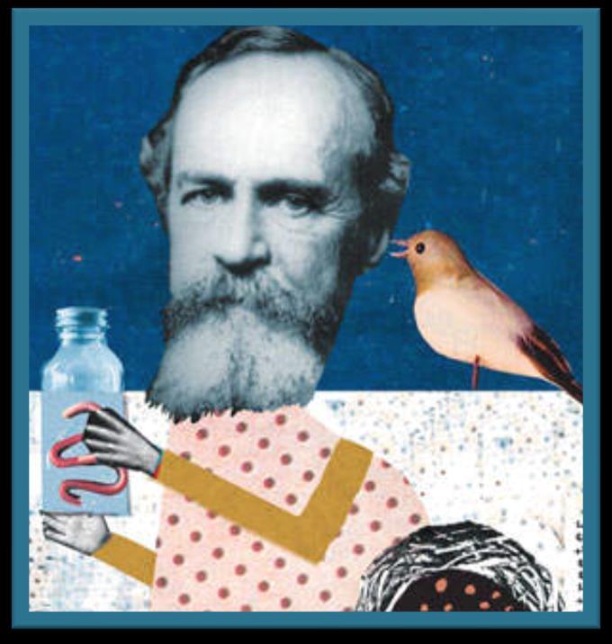 William James & Functionalism Founder of American Psychology Created the first psychological text.