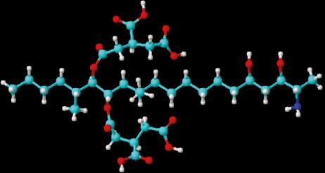 Larger molecules and very flexible - Medium polarity Easily