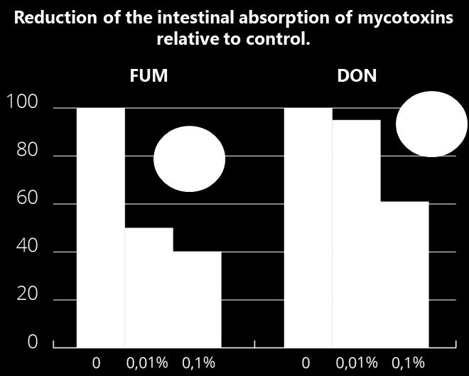 MT.X+: THE OLMIX SOLUTION Test in TNO in vitro dynamic gastrointestinal model (TIM-1).