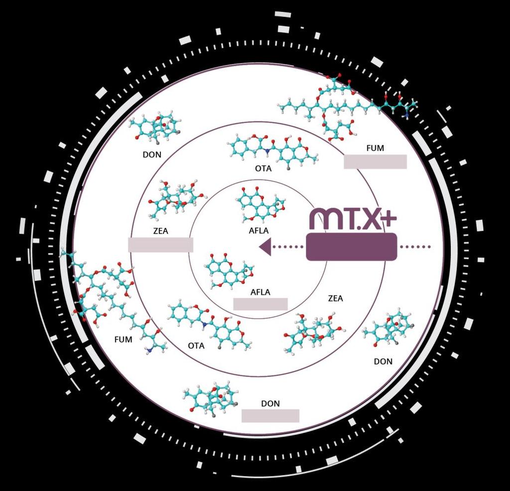MT.X+: THE OLMIX SOLUTION WIDE SPECTRUM TOXIN BINDER Summary: Montmorillonite/bentonite Aflatoxin FLEXIBILITY SIZE POLARITY Wide spectrum toxin binder