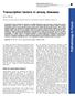 Transcription factors in airway diseases