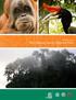 Guidebook to The Gunung Leuser National Park