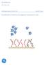 GE Healthcare Life Sciences. Methodology Guideline AA. Quantification of influenza hemagglutinin using Biacore T200