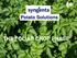 Potato Solutions THE FOLIAR CROP PHASE