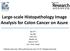 Large-scale Histopathology Image Analysis for Colon Cancer on Azure