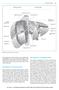MRI Appearance of Pathologic Entities. MRI Appearance of Normal Anatomy. Segment VII