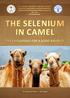 The selenium in camel. he selenium. selenium in camel