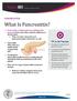 What Is Pancreatitis?