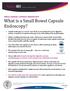 What is a Small Bowel Capsule Endoscopy?
