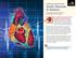 A Health Care Professional s Guide Aortic Stenosis in Seniors