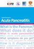 Acute Pancreatitis. What is the Pancreas? What does it do? What is acute pancreatitis? What causes acute pancreatitis? What symptoms do you get?